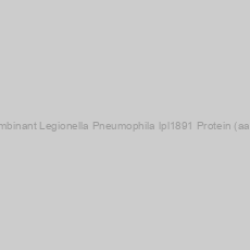 Image of Recombinant Legionella Pneumophila lpl1891 Protein (aa 1-89)